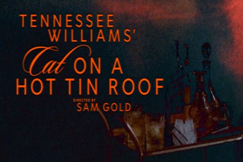 Cat on a Hot Tin Roof