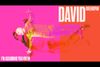 I'm Assuming You Know David Greenspan Show Information