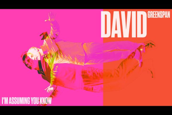 I'm Assuming You Know David Greenspan Show Information