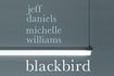 Blackbird