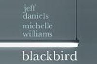 Blackbird