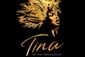 Tina: The Tina Turner Musical (Non-Equity) Show Information