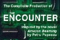 The Encounter