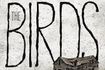 The Birds