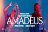 Amadeus Show Information