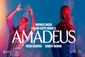 Amadeus Show Information