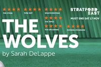 The Wolves