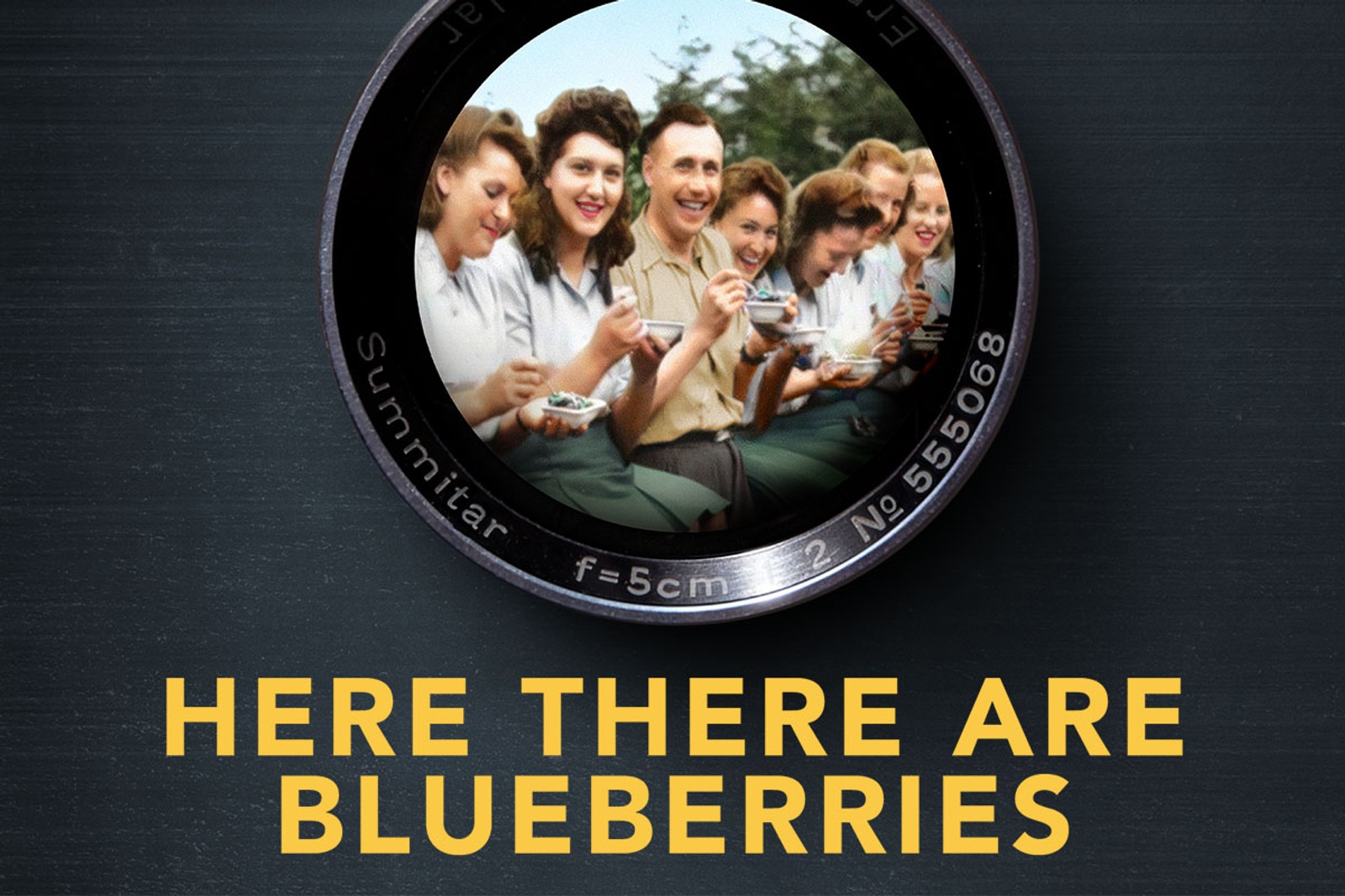 Here There Are Blueberries