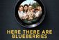 Here There Are Blueberries Show Information