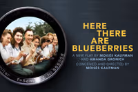 Here There Are Blueberries