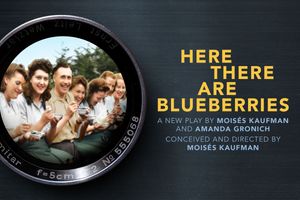 Here There Are Blueberries poster