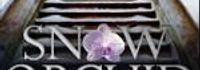 Snow Orchid