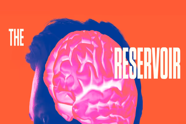 The Reservoir Show Information