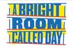 A Bright Room Called Day