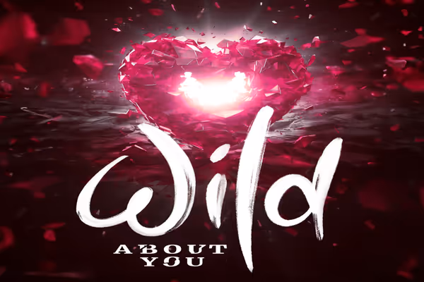 Wild About You Show Information
