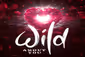 Wild About You Show Information