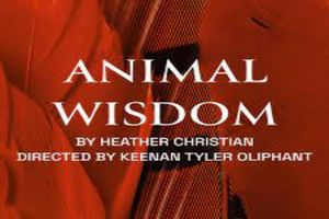 Animal Wisdom Broadway Show | Broadway World