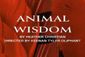 Animal Wisdom Show Information