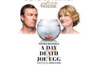 A Day in the Death of Joe Egg