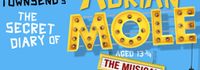 The Secret Diary of Adrian Mole