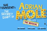 The Secret Diary of Adrian Mole