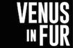 Venus in Fur