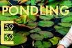Pondling
