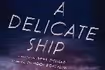 A Delicate Ship