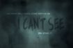 I Can't See