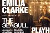 The Seagull