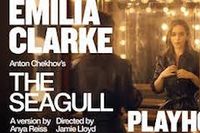 The Seagull