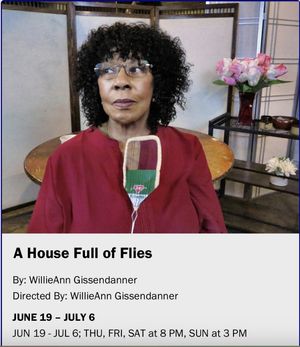A House Full of Flies Off-Broadway