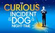 The Curious Incident of the Dog in the Night-Time