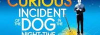 The Curious Incident of the Dog in the Night-Time