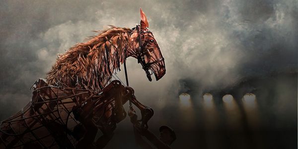 War Horse Show Information