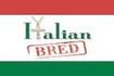 Italian Bred