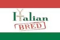 Italian Bred