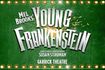 Young Frankenstein