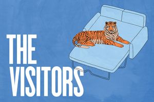 The Visitors poster