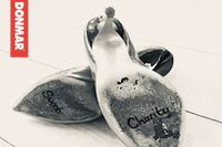 Sweet Charity