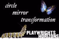 Circle Mirror Transformation