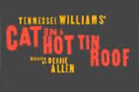 Cat on a Hot Tin Roof