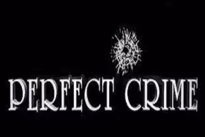 Perfect Crime Broadway Show | Broadway World