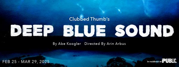Deep Blue Sound Show Information