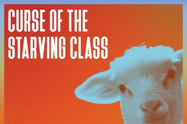 Curse of the Starving Class Show Information
