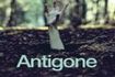 Antigone