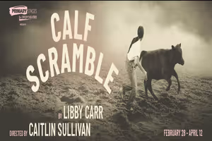 Calf Scramble Off-Broadway