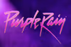 Purple Rain Show Information