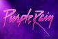 Purple Rain Show Information