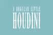 A Regular Little Houdini